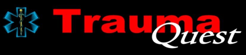 lojavirtual.traumaquest.com.br